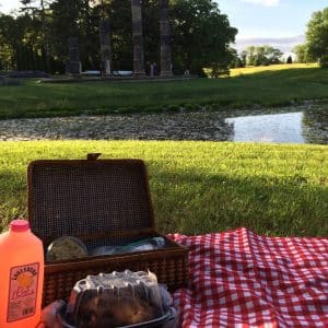 An example of eating outside at a Quarantine BBQ